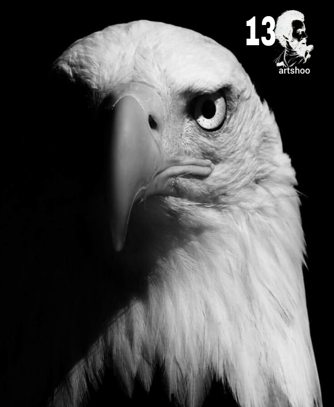 آموزش نقاشی سیاه قلم