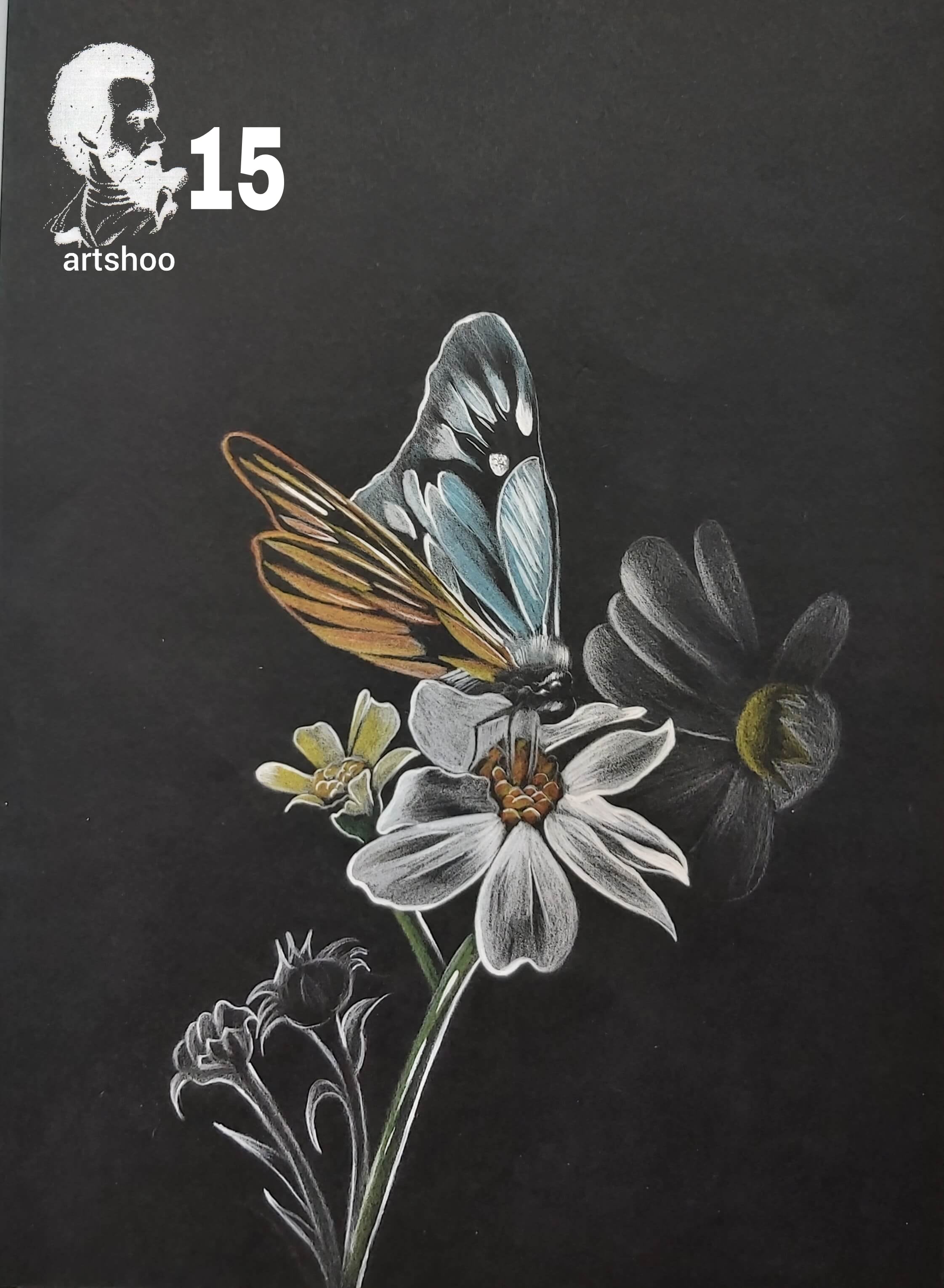 آموزش نقاشی سیاه قلم