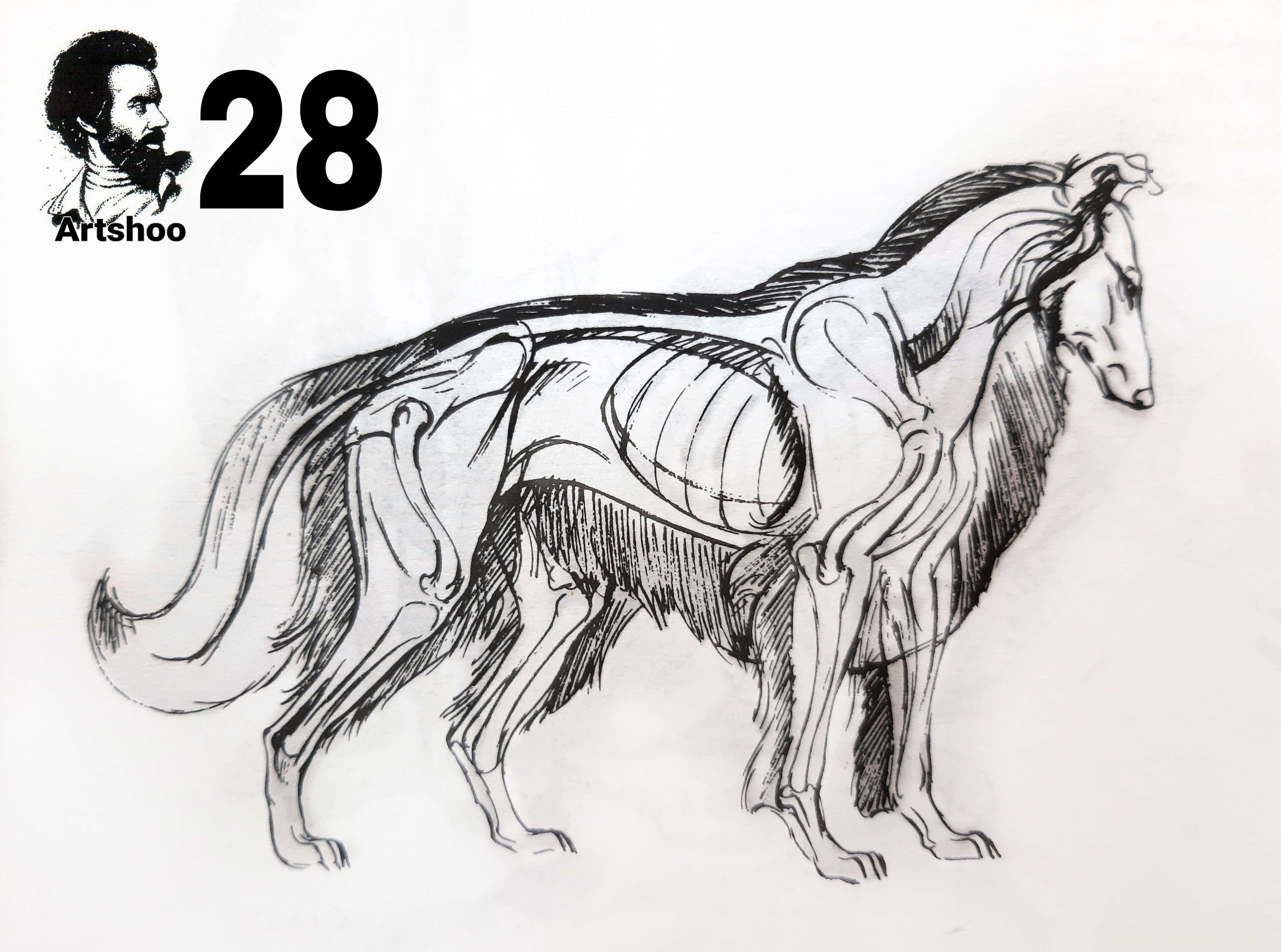 آموزش نقاشی سیاه قلم شهرری