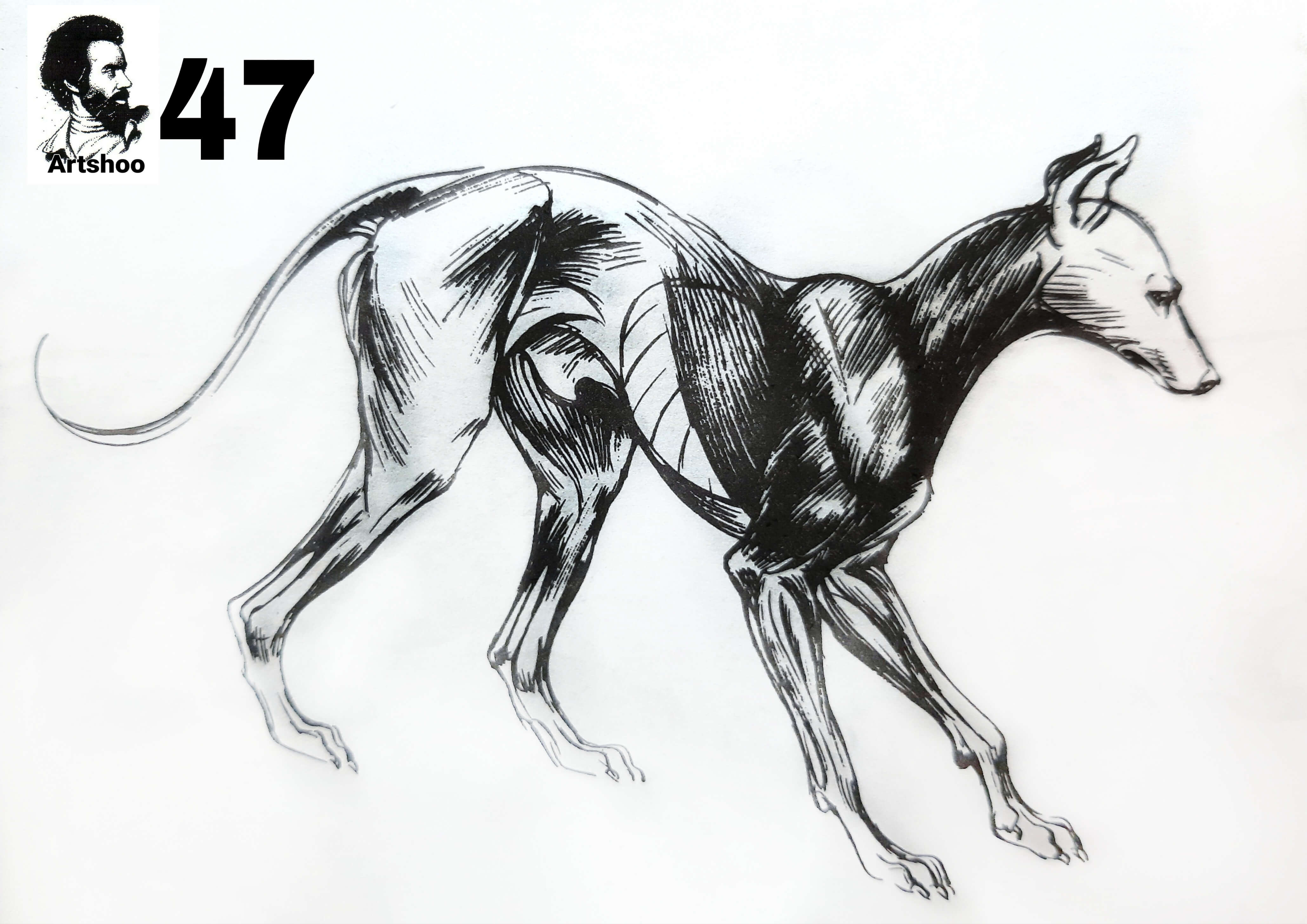 آموزش نقاشی سیاه قلم شهرری