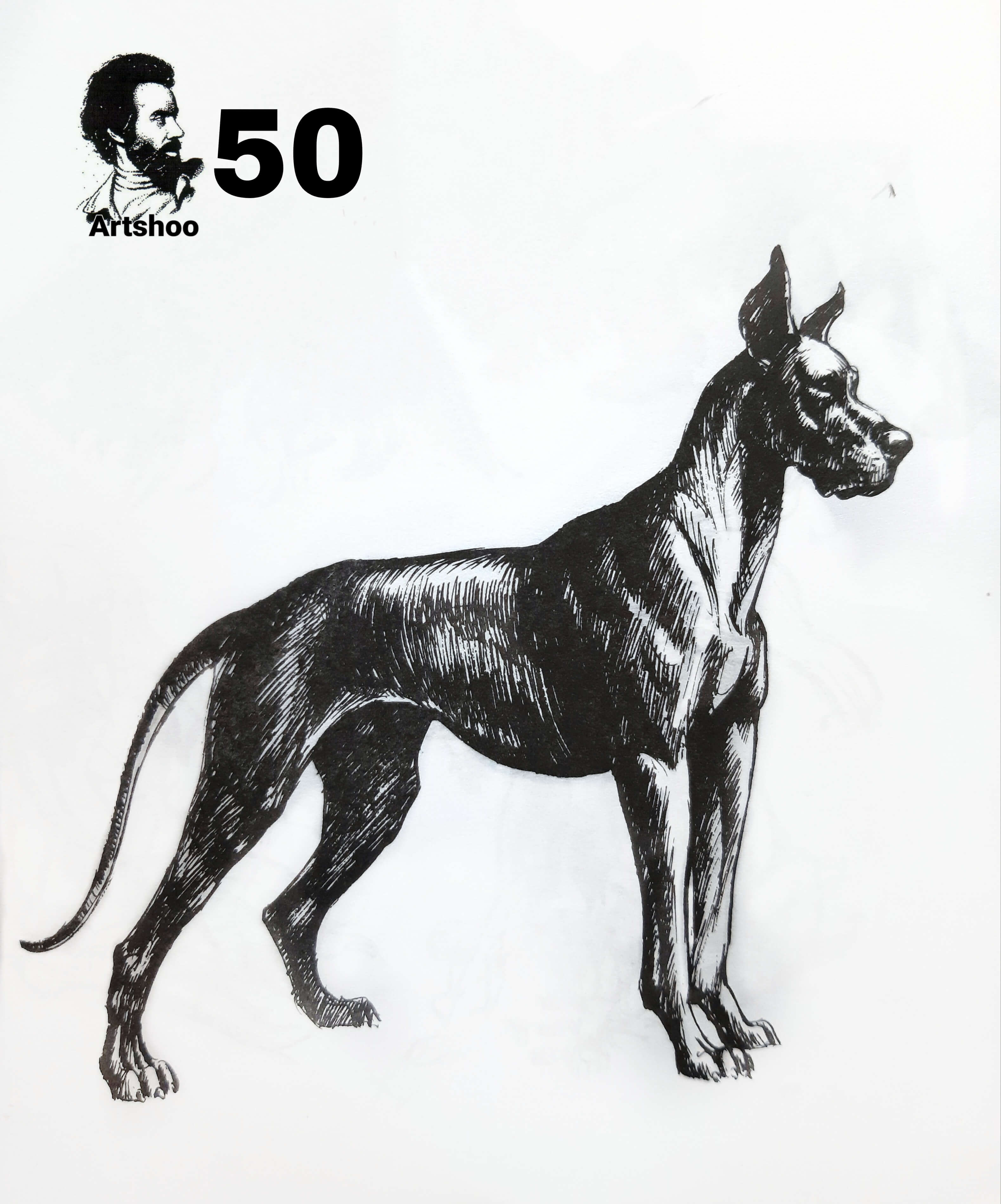 آموزش نقاشی سیاه قلم شهرری