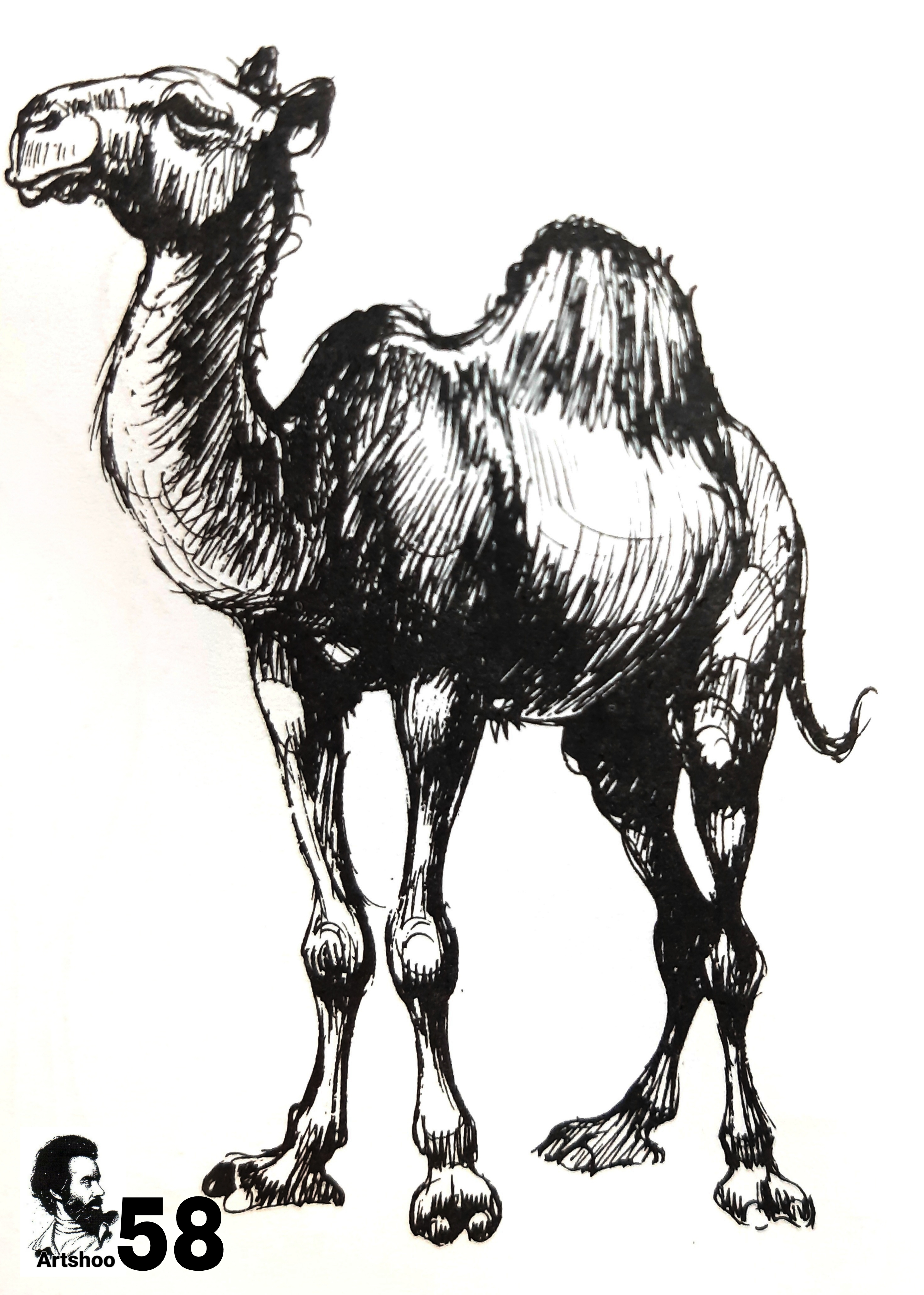 آموزش نقاشی سیاه قلم شهرری