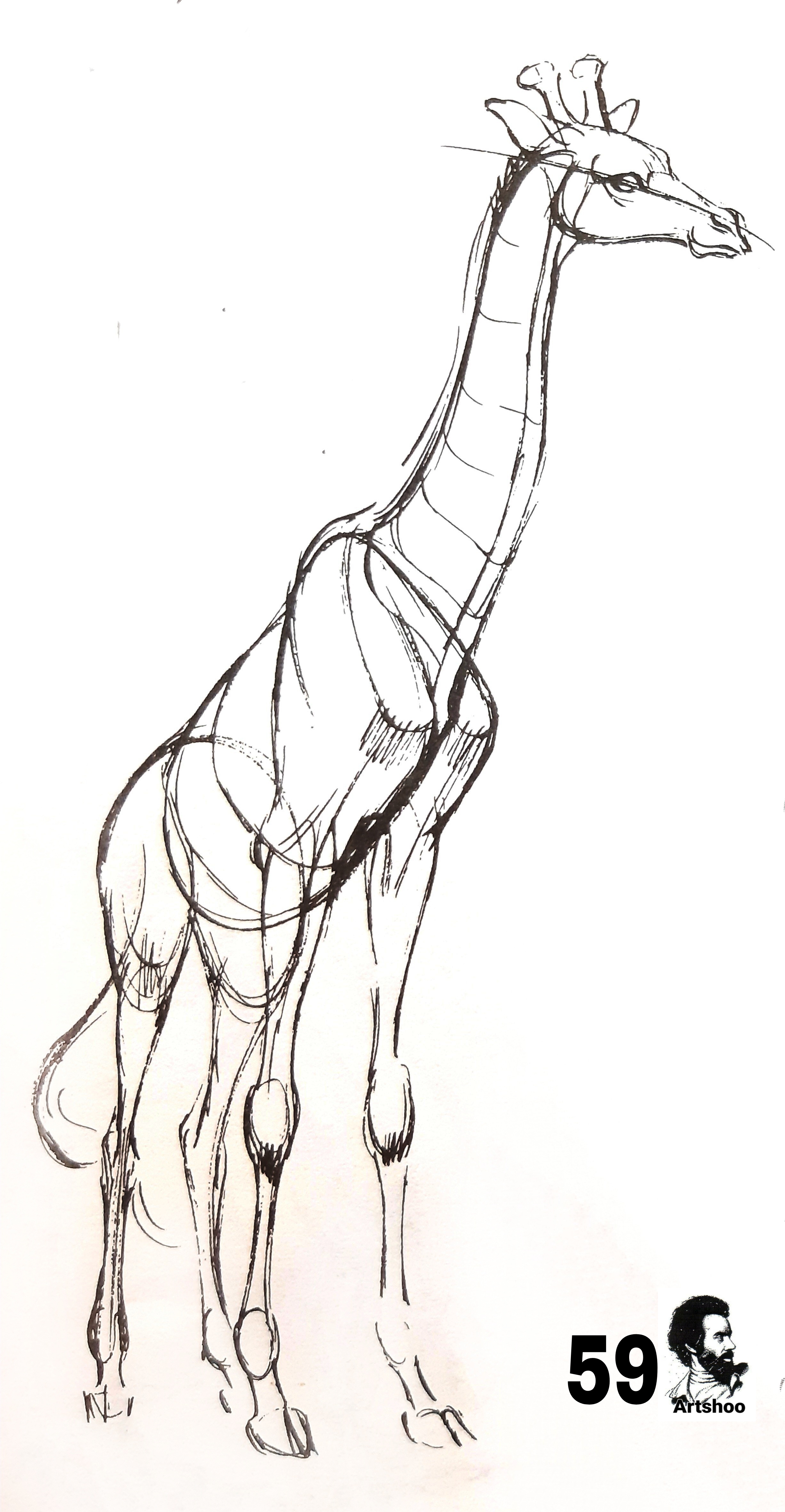 آموزش نقاشی سیاه قلم شهرری