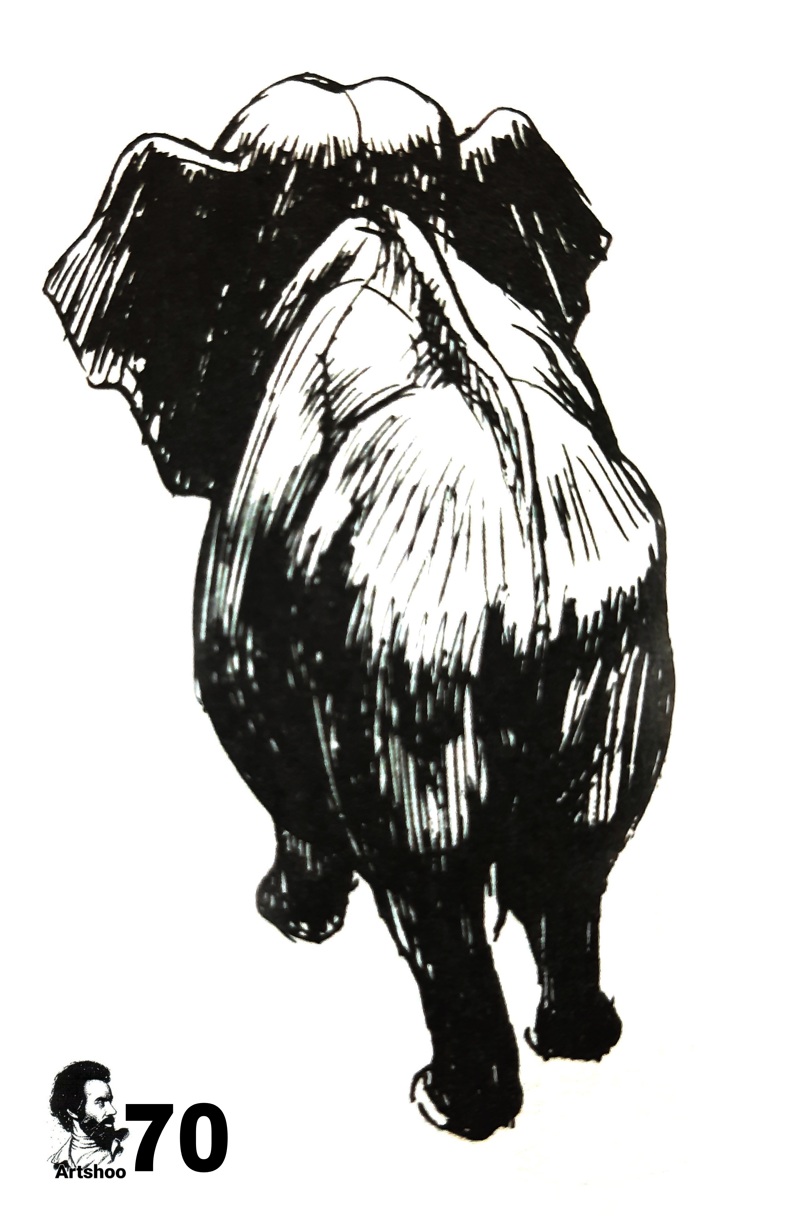 آموزش نقاشی سیاه قلم شهرری