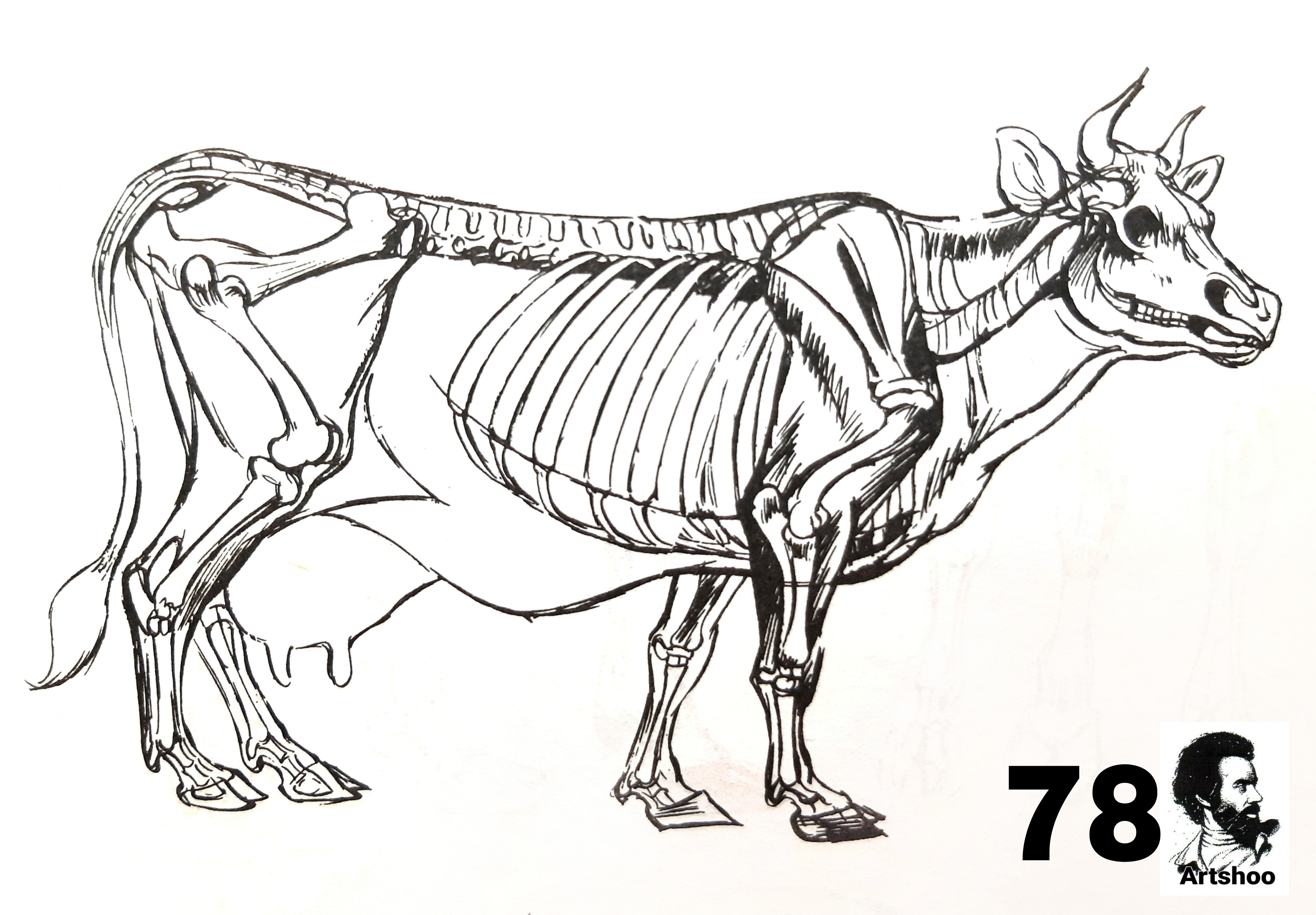 آموزش نقاشی سیاه قلم شهرری