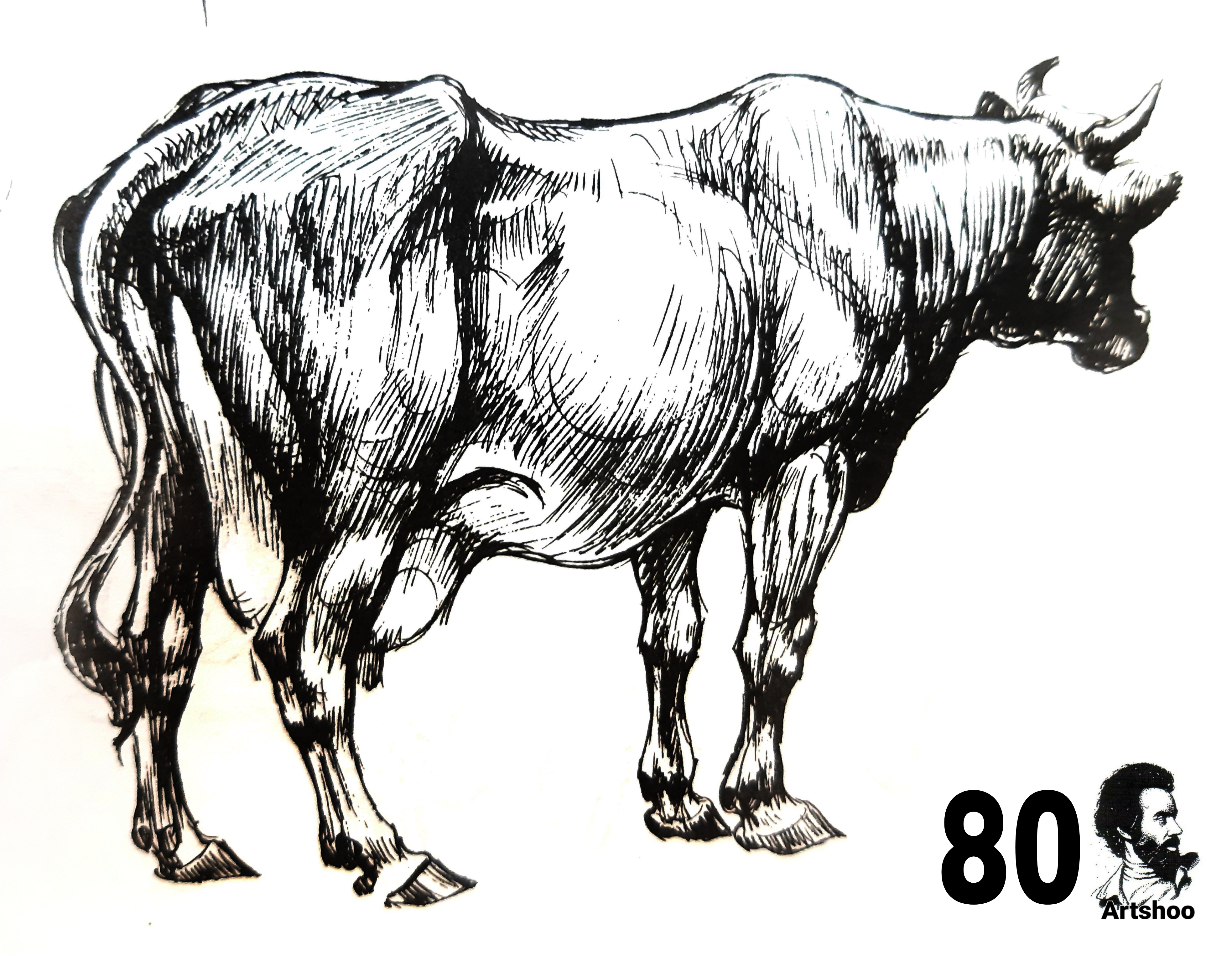 آموزش نقاشی سیاه قلم شهرری