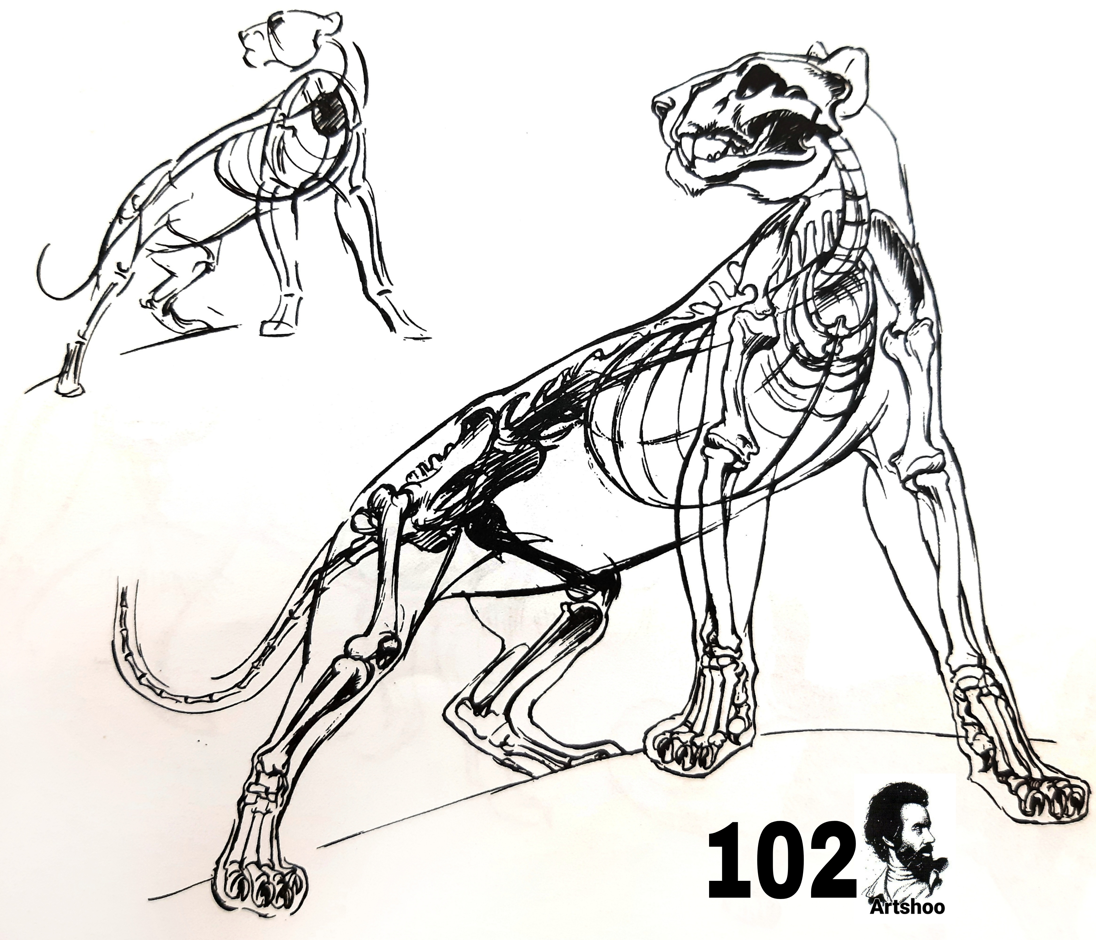 آموزش نقاشی سیاه قلم شهرری