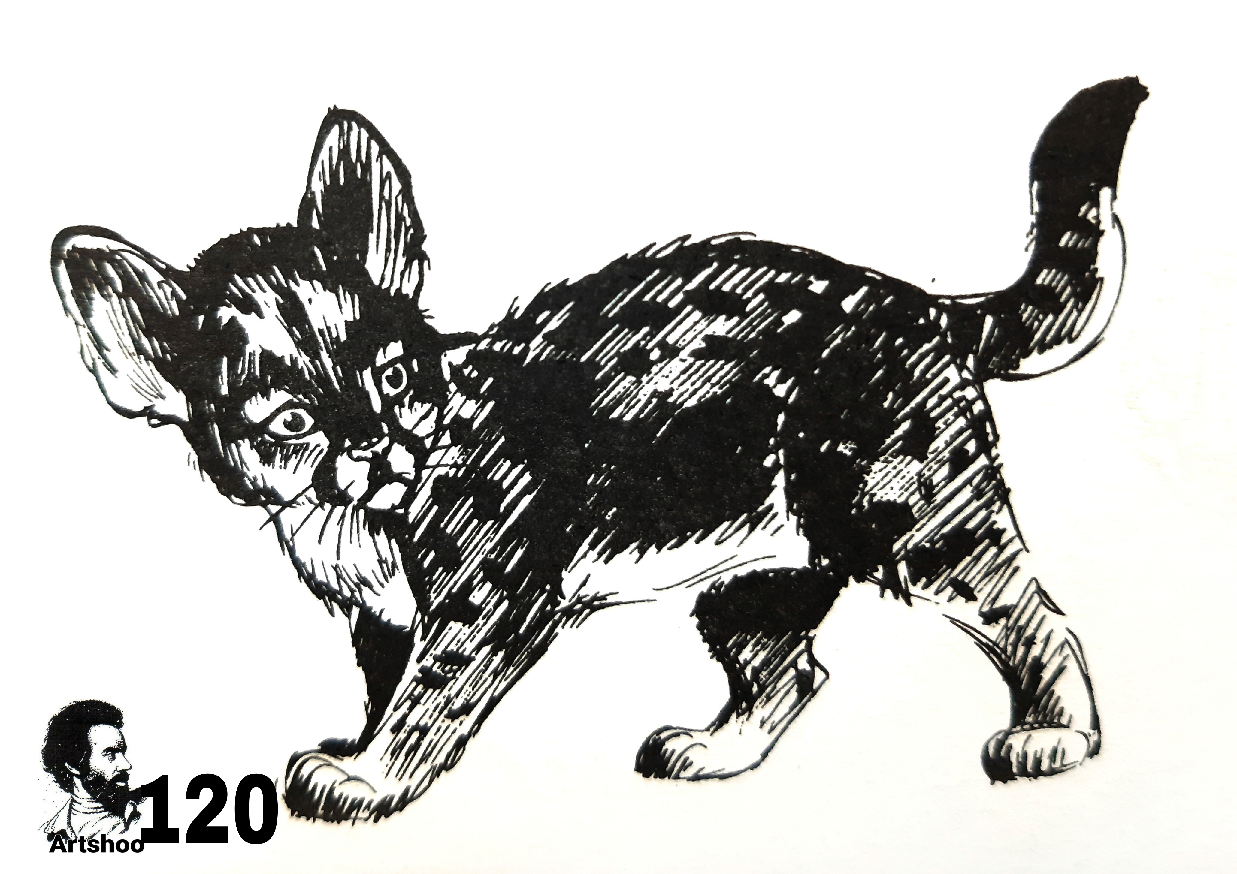 آموزش نقاشی سیاه قلم شهرری