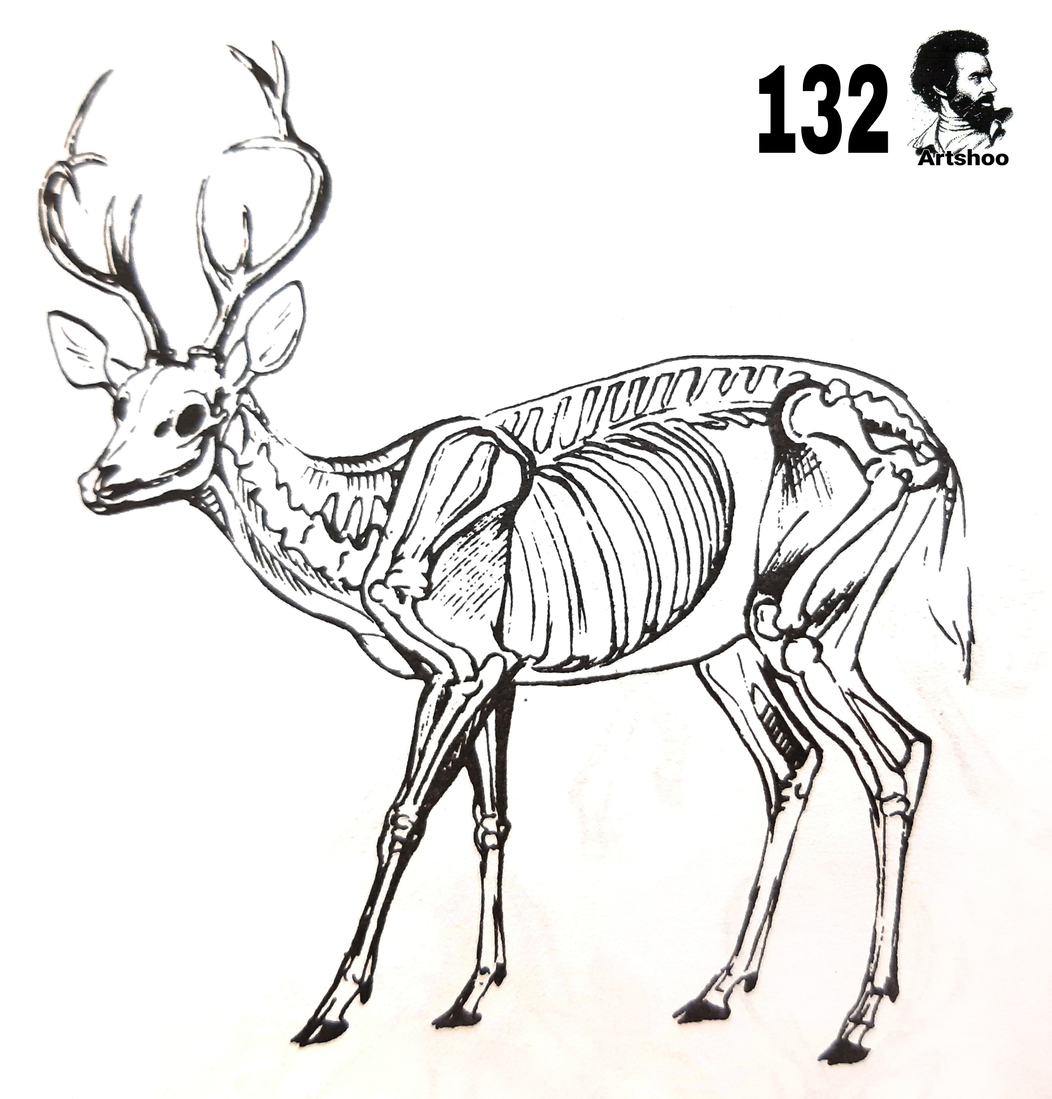 آموزش نقاشی سیاه قلم شهرری