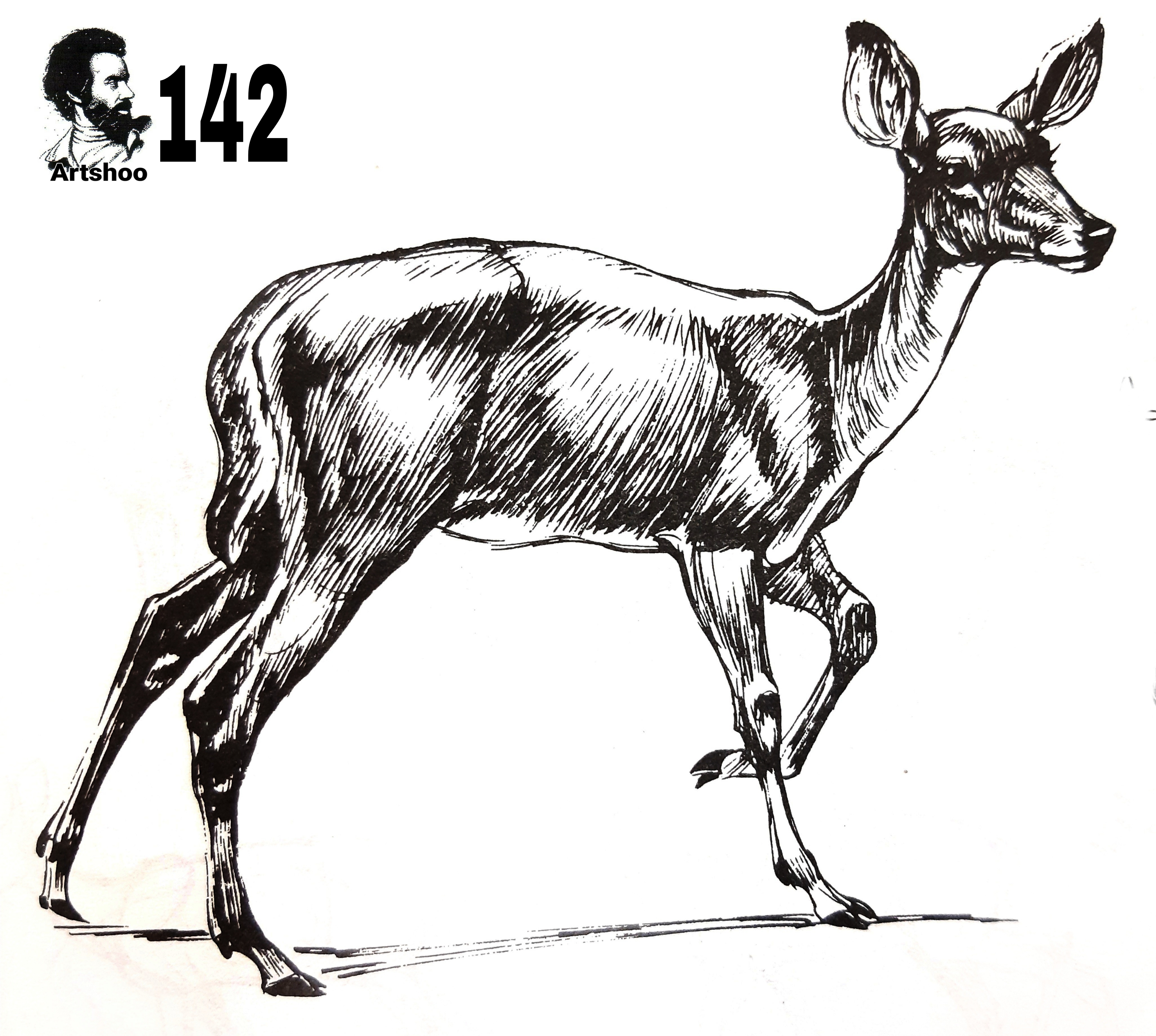 آموزش نقاشی سیاه قلم شهرری