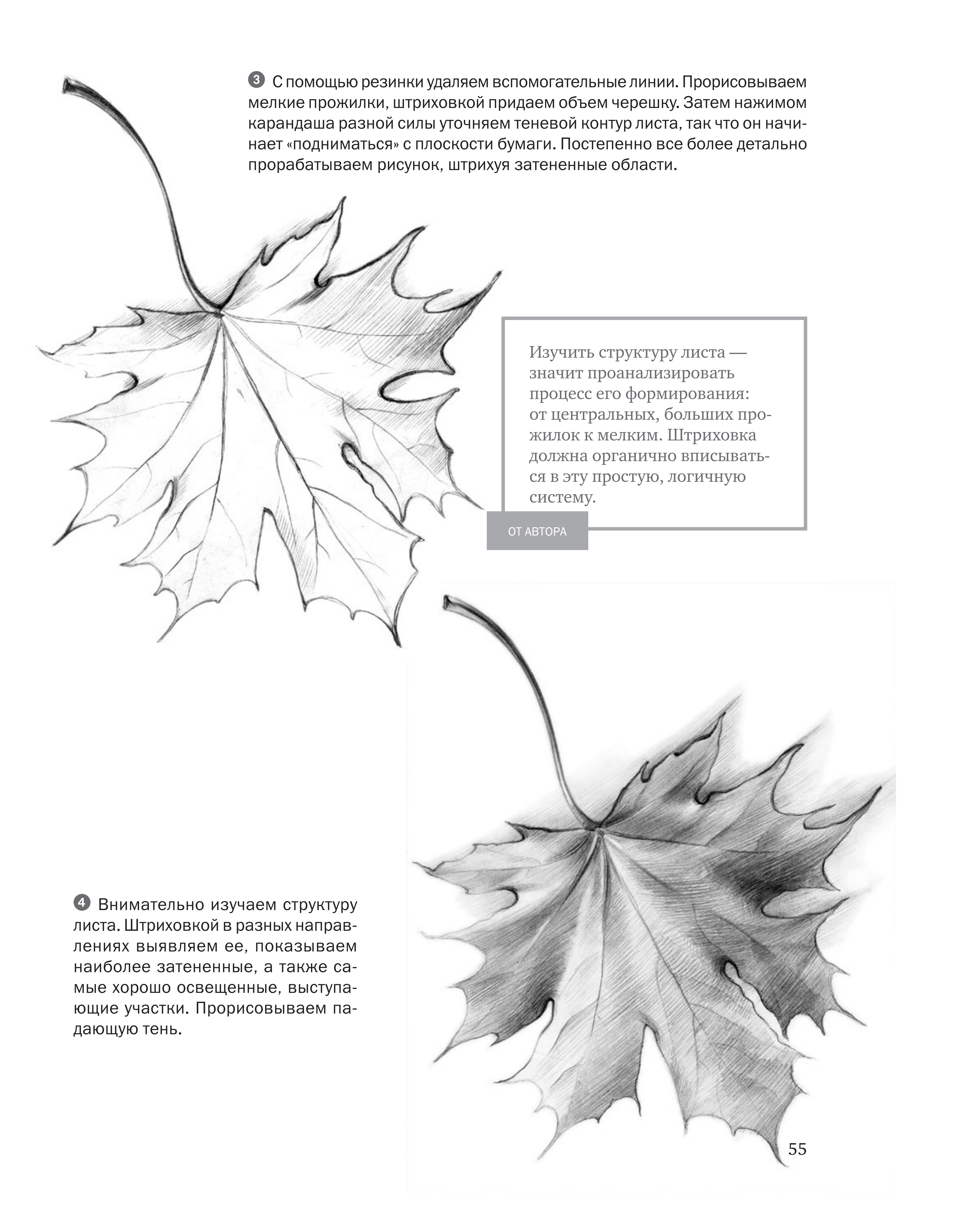 آموزش نقاشی طراحی سیاه قلم شهرری