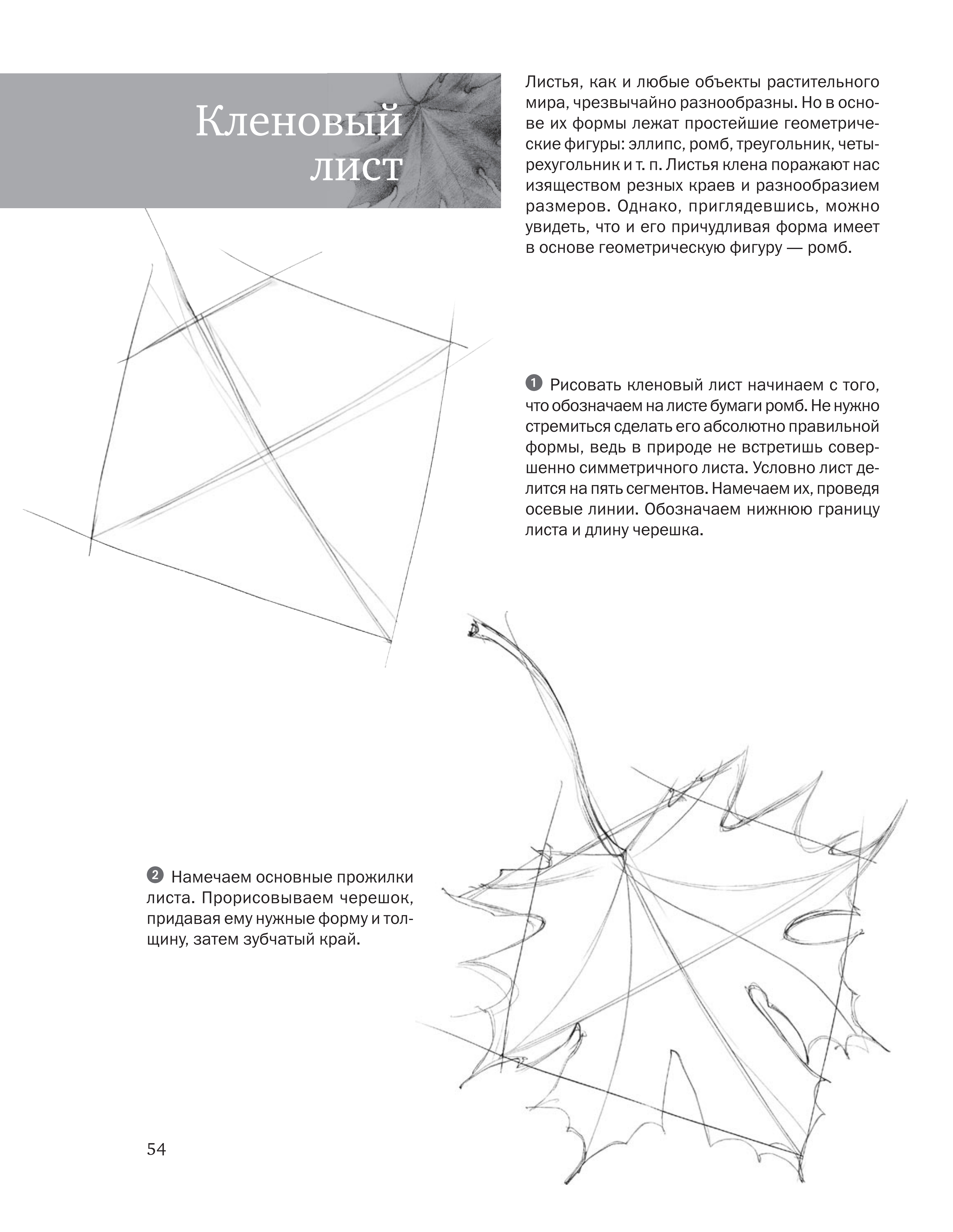 آموزش نقاشی طراحی سیاه قلم شهرری