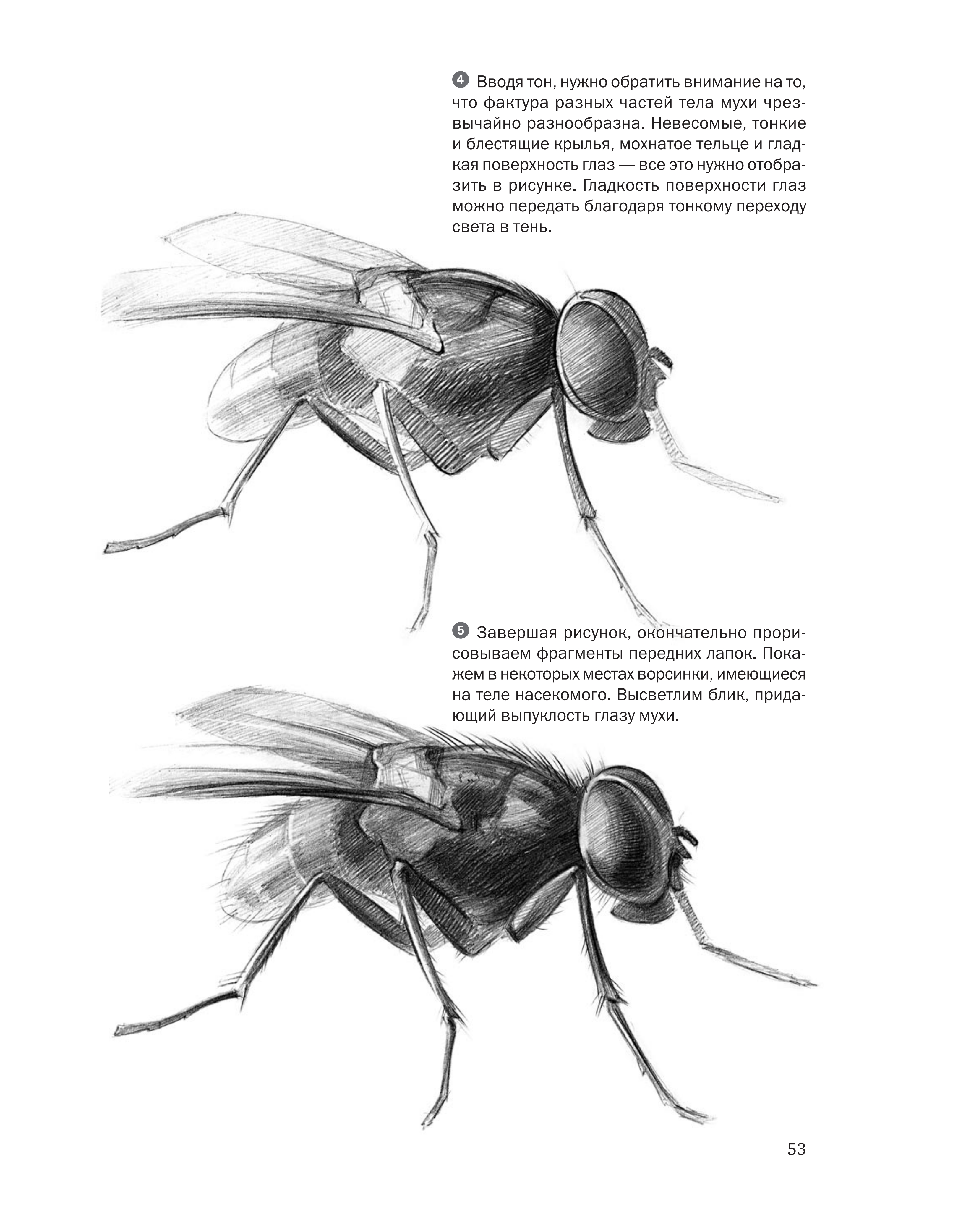 آموزش نقاشی طراحی سیاه قلم شهرری