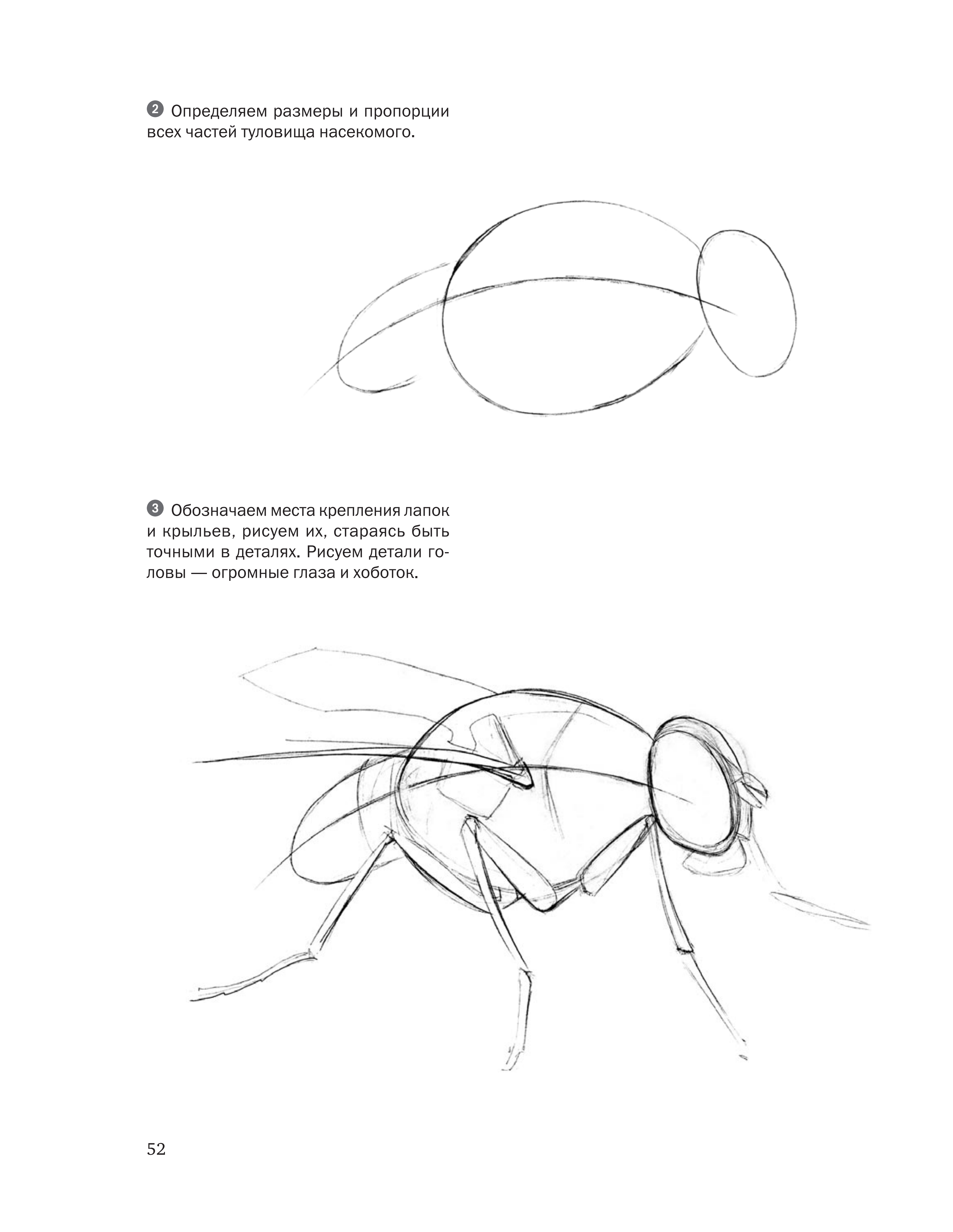 آموزش نقاشی طراحی سیاه قلم شهرری