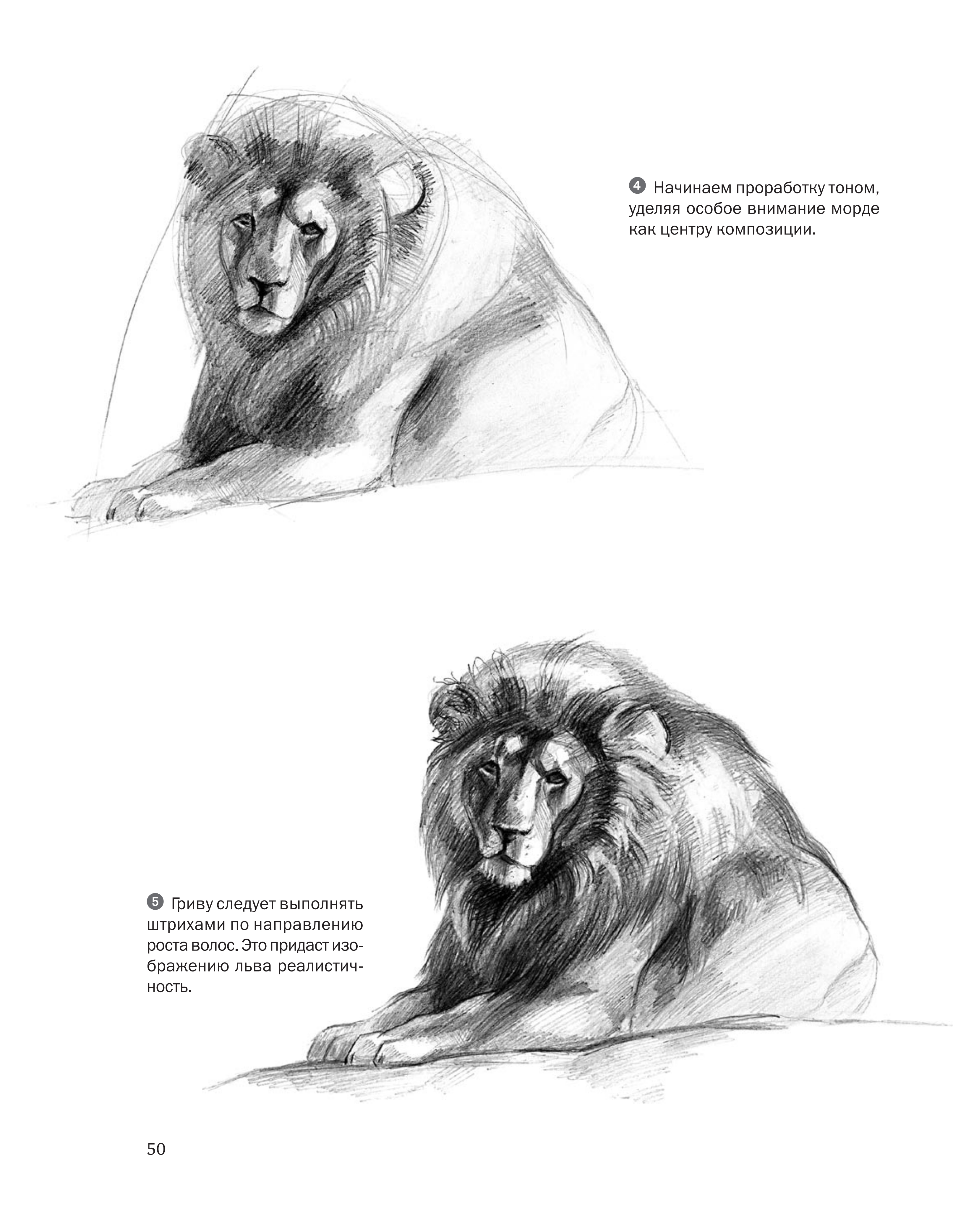 آموزش نقاشی طراحی سیاه قلم شهرری