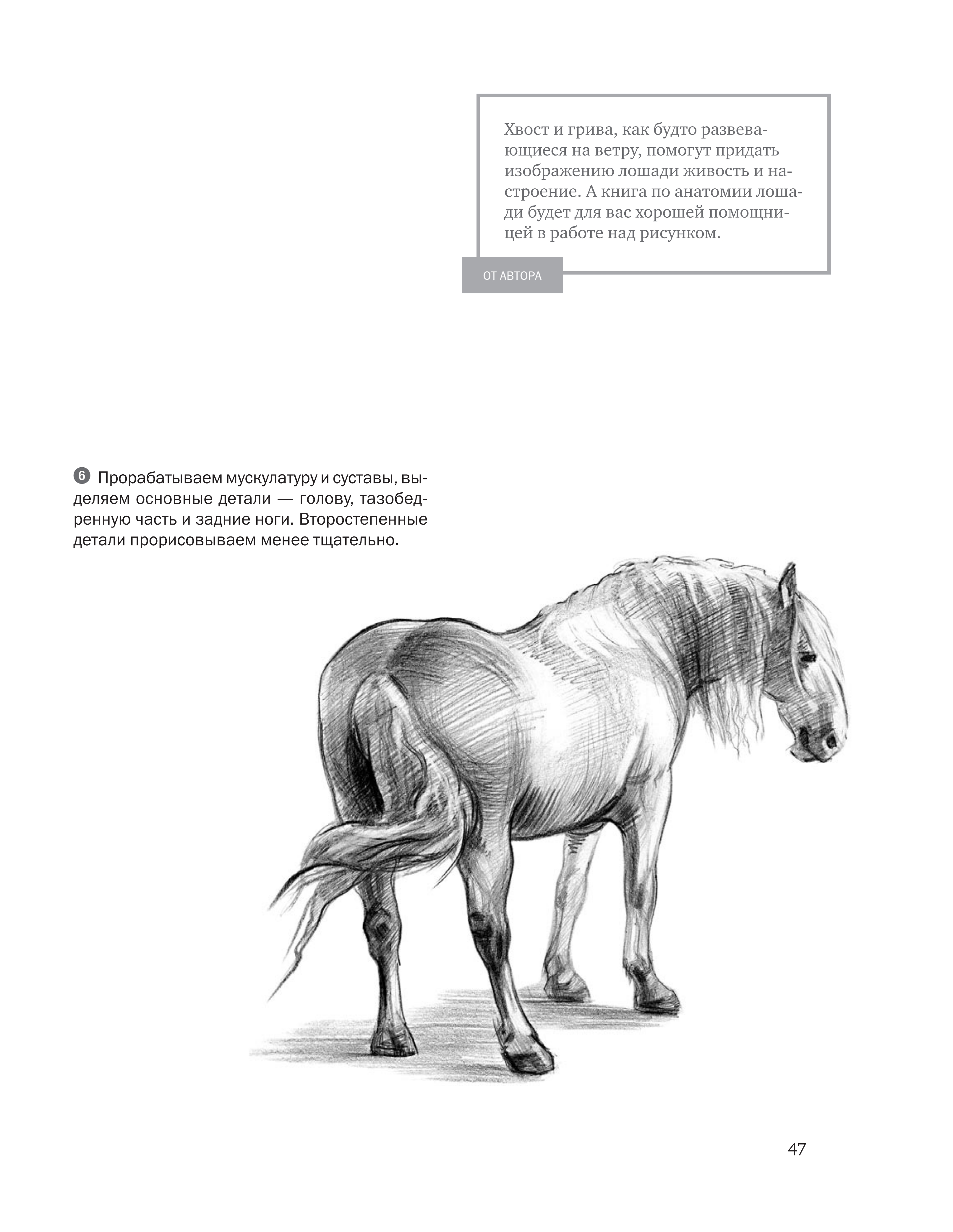 آموزش نقاشی طراحی سیاه قلم شهرری