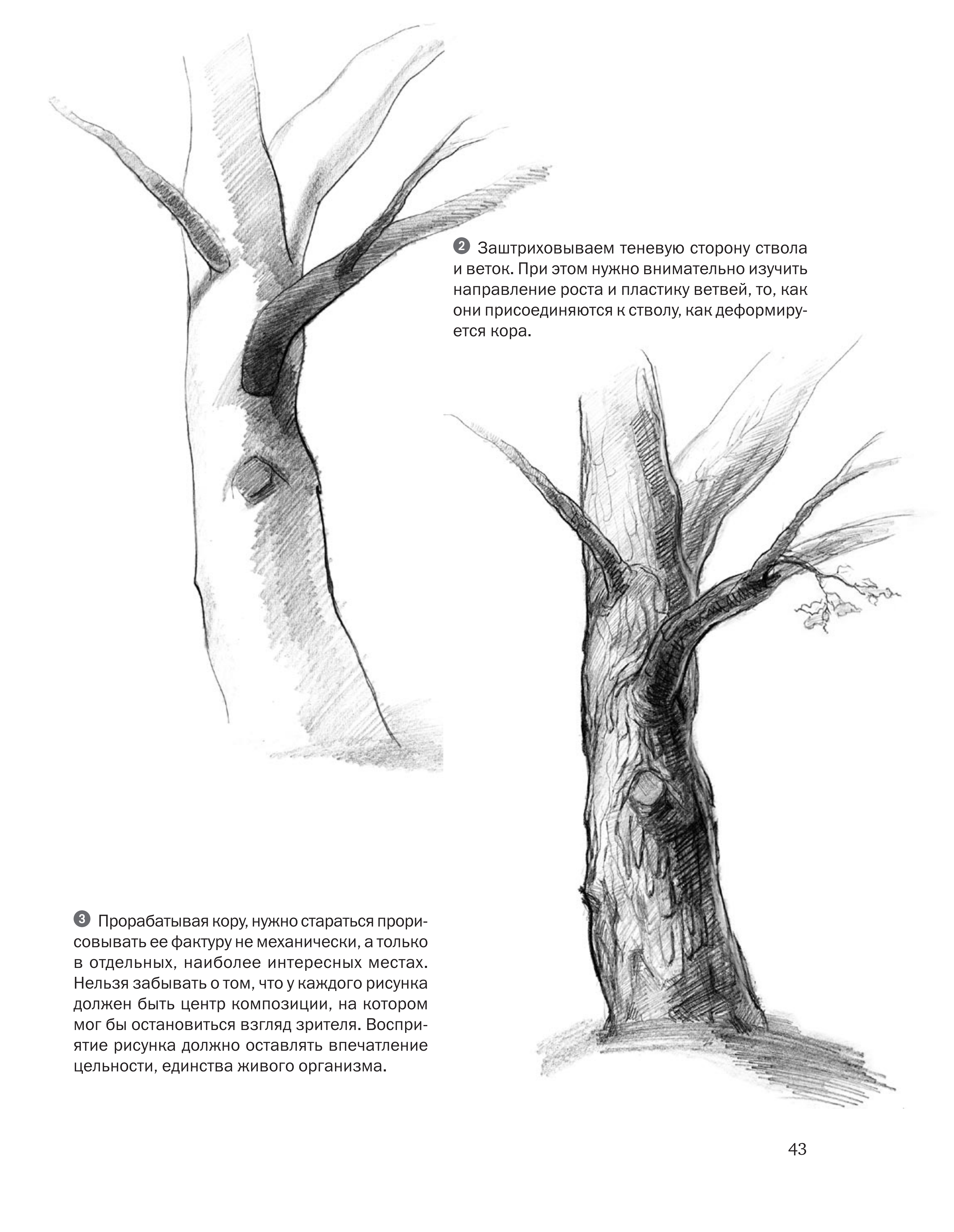 آموزش نقاشی طراحی سیاه قلم شهرری