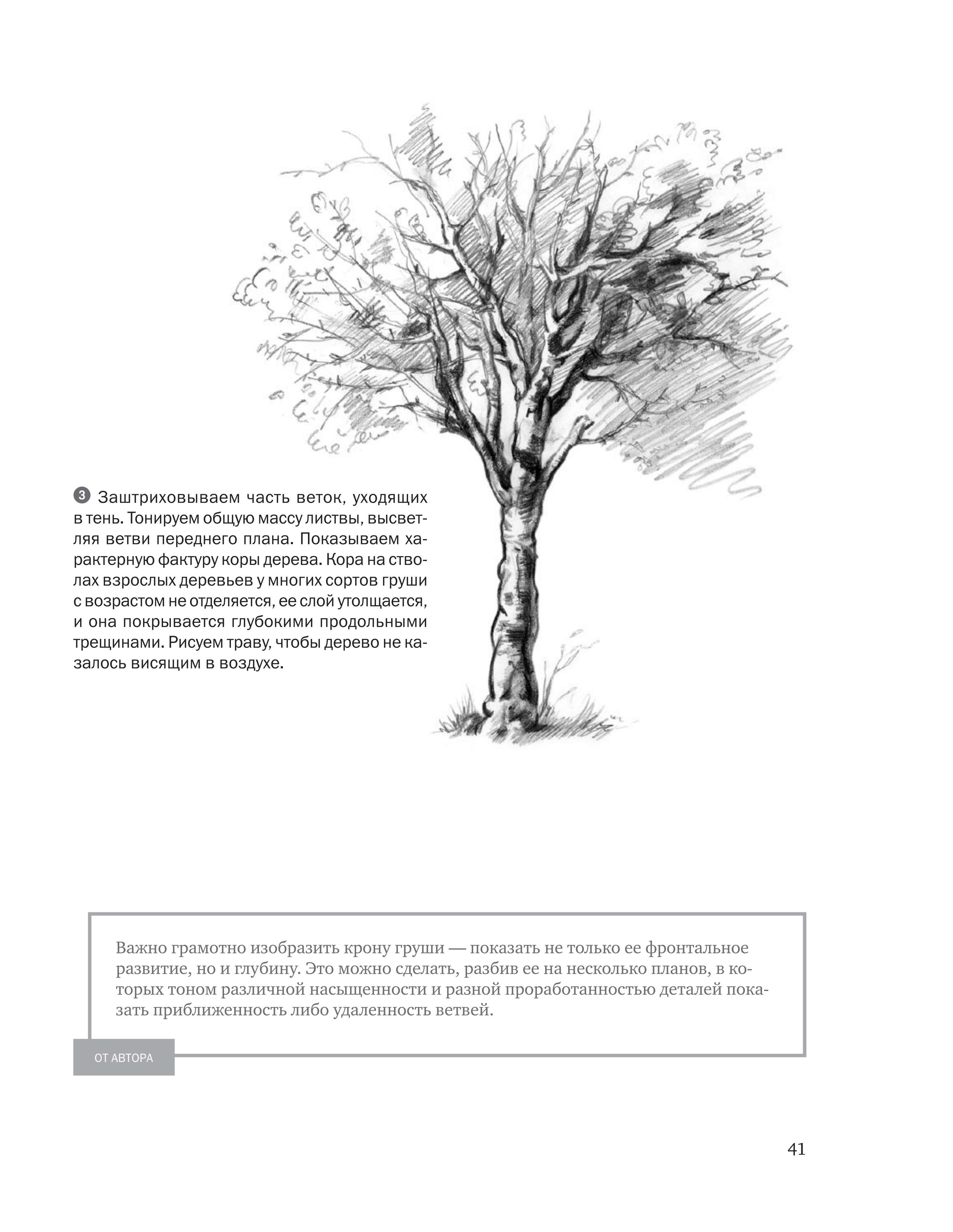 آموزش نقاشی طراحی سیاه قلم شهرری