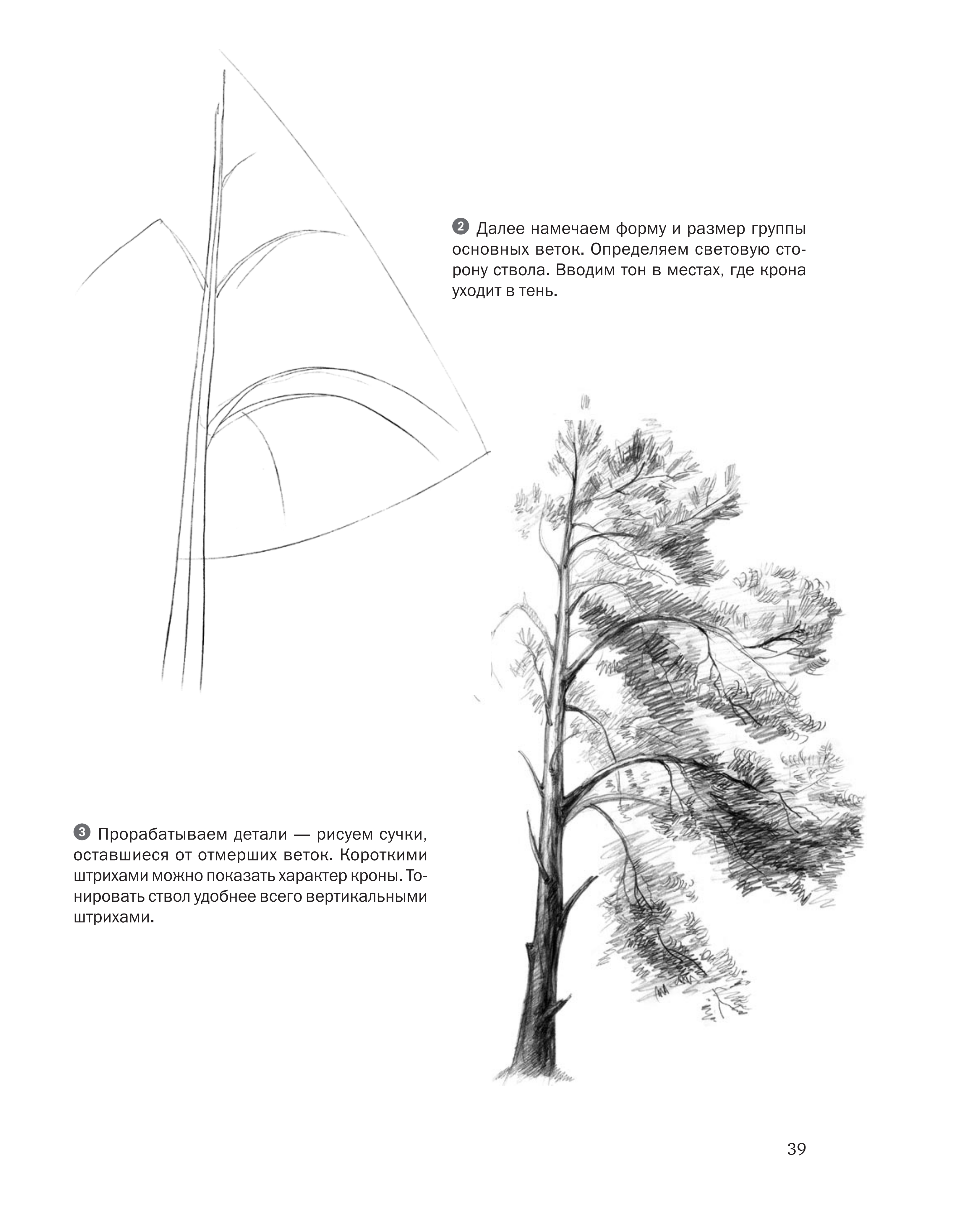 آموزش نقاشی طراحی سیاه قلم شهرری