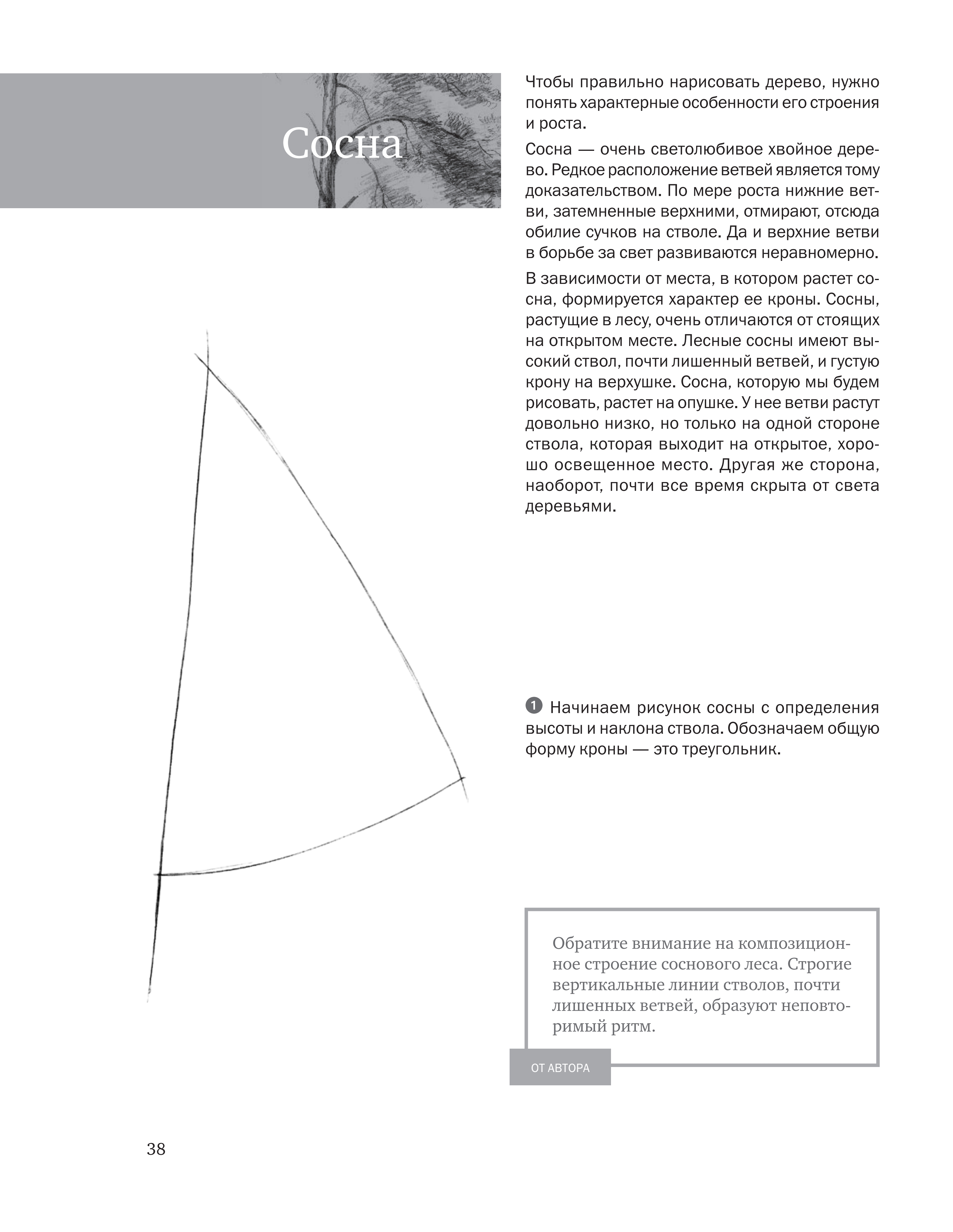 آموزش نقاشی طراحی سیاه قلم شهرری