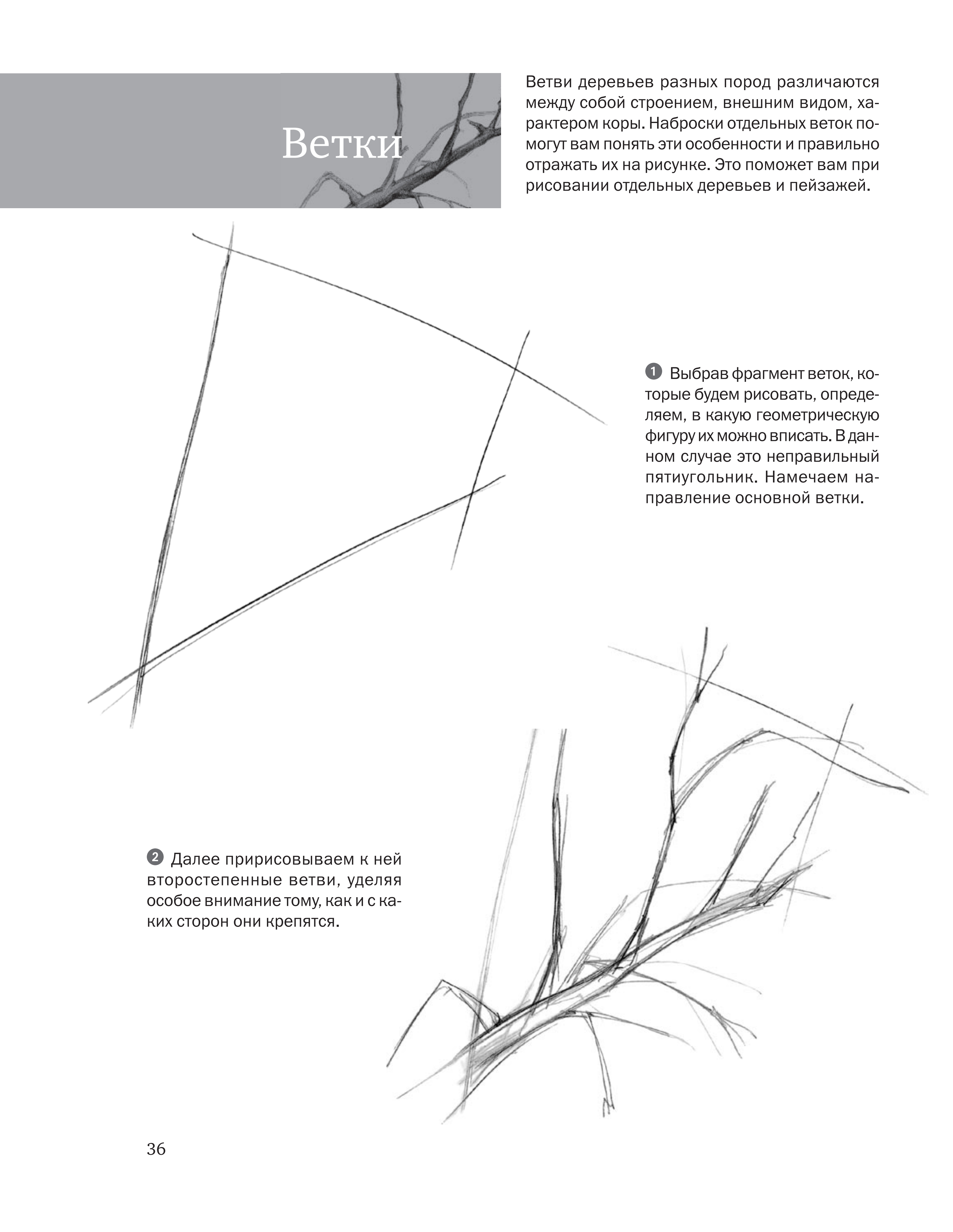 آموزش نقاشی طراحی سیاه قلم شهرری