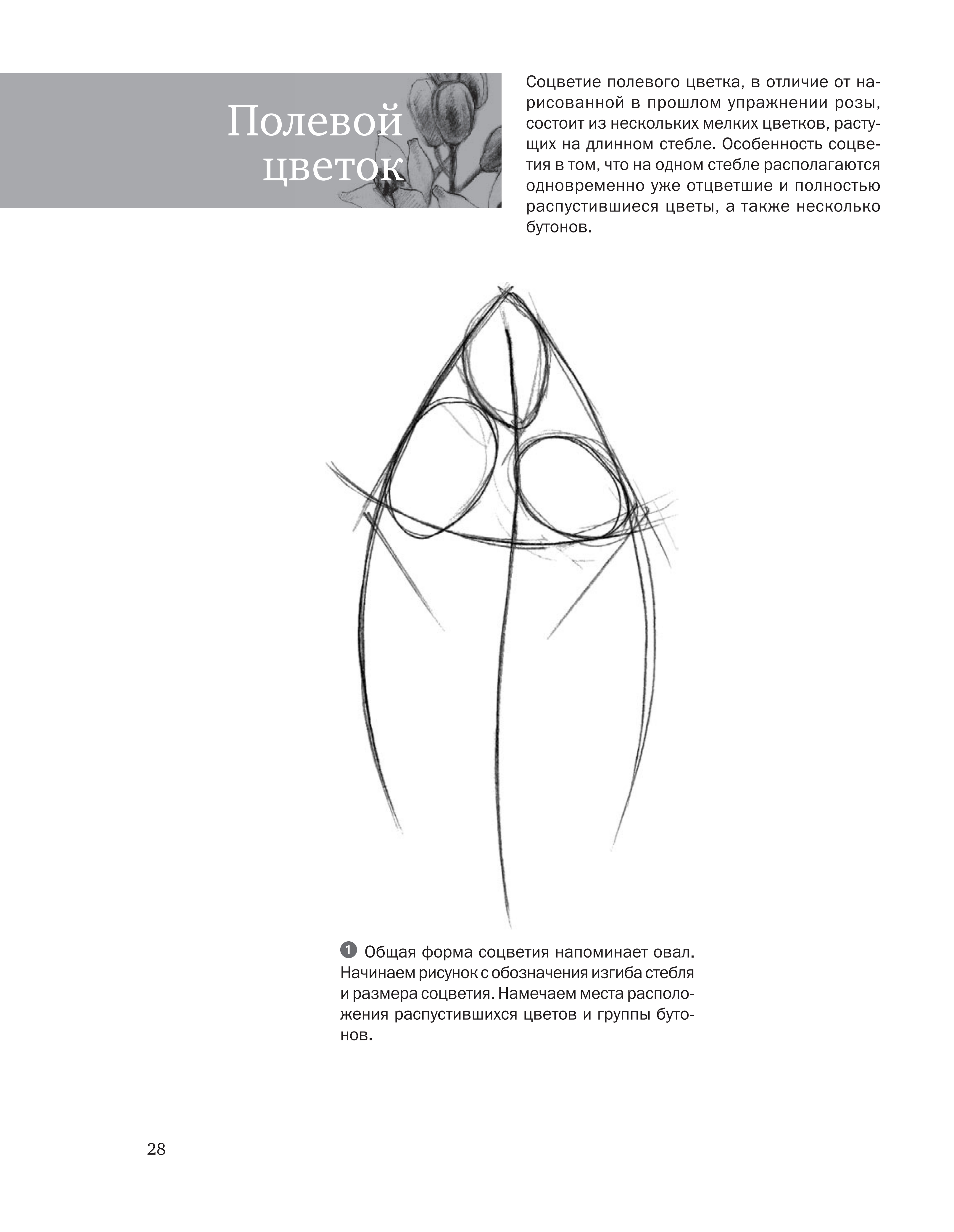 آموزش نقاشی طراحی سیاه قلم شهرری