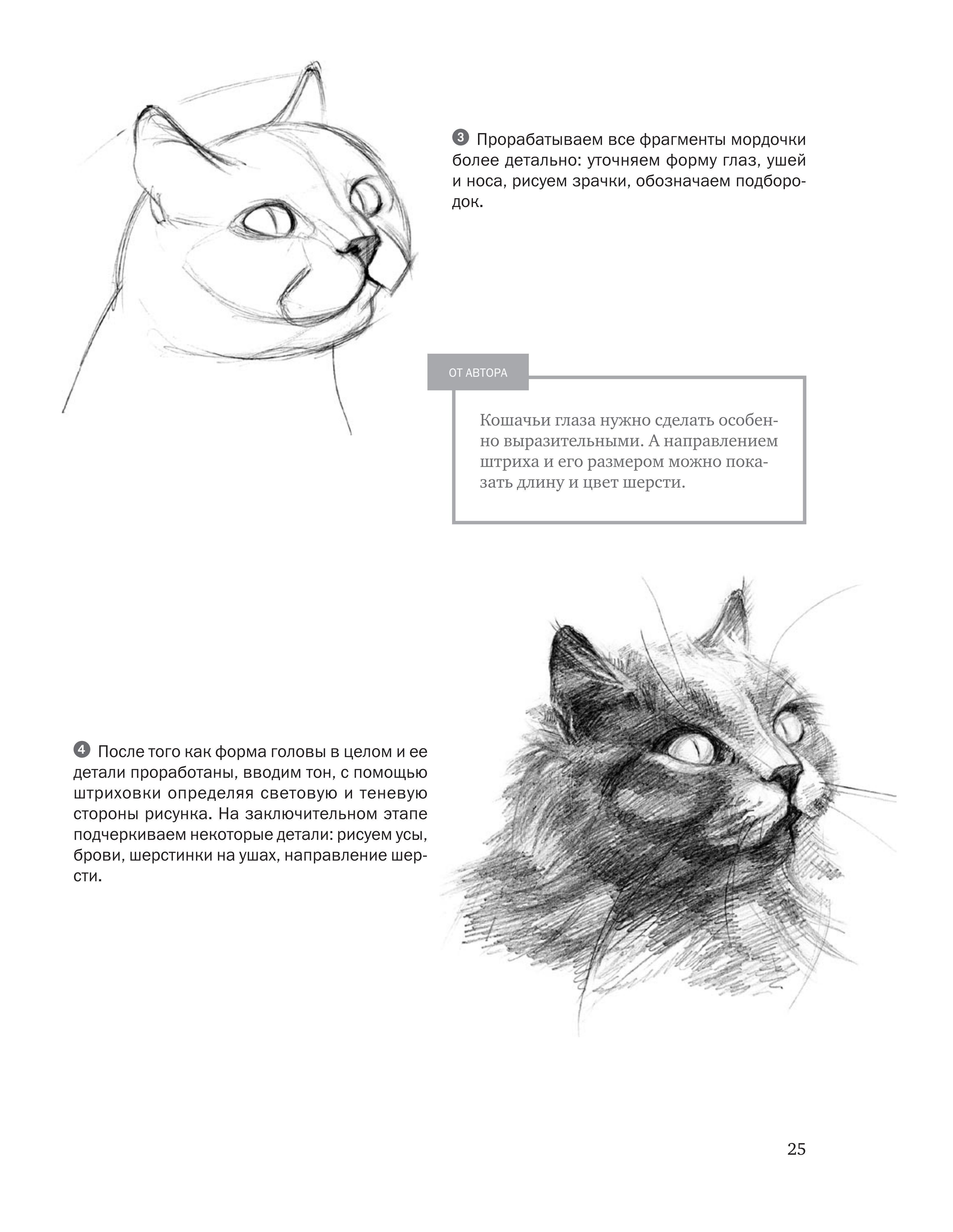 آموزش نقاشی طراحی سیاه قلم شهرری